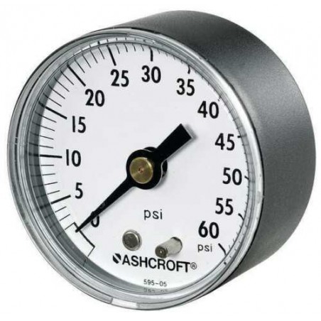 ASHCROFT 20W1005PH02B30 Gauge,Pressure,0 to 30 psi,Back,2 in